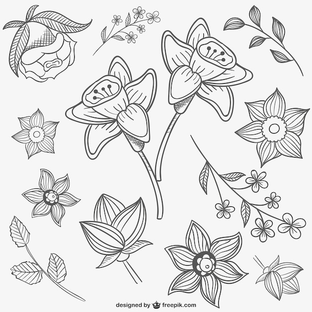 Black and white flowers illustrations