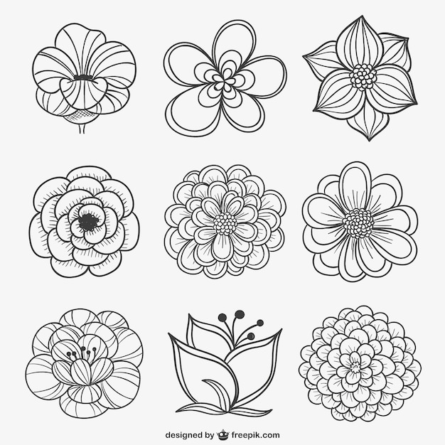 Free Free 329 Black And White Flower Svg Free SVG PNG EPS DXF File