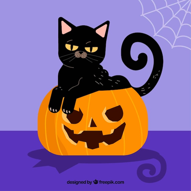 Black cat background on top of a pumpkin