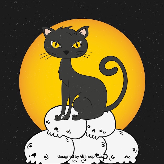 Black cat background with hand drawn\
skulls