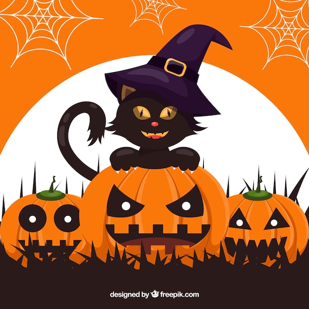 Black cat background with pumpkins and witch\
hat