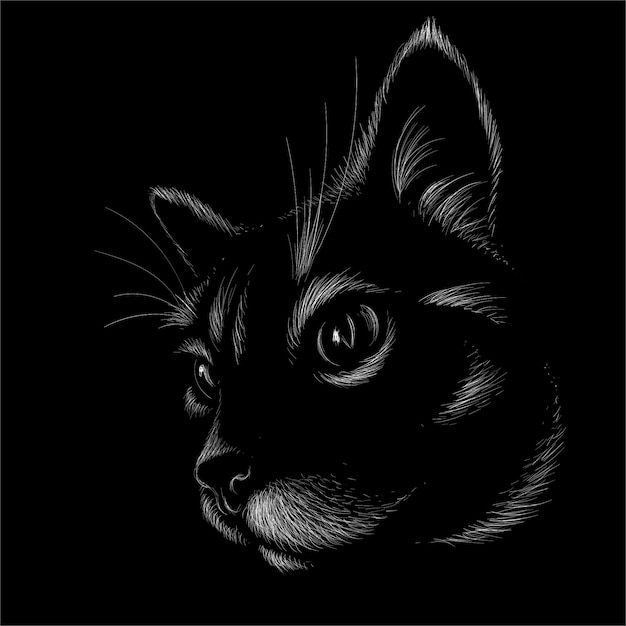 Black cat design. Premium Vector