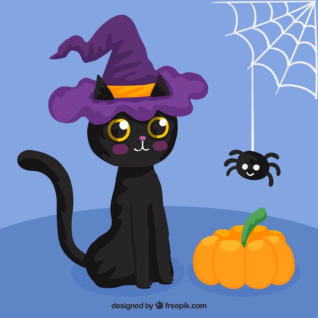 Black cat with spider and pumpkin