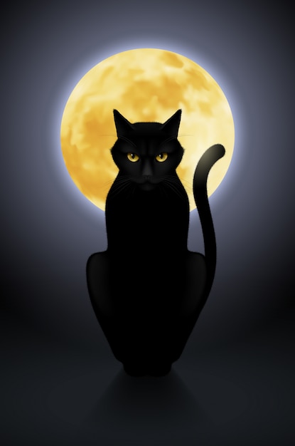 Premium Vector | Black cat