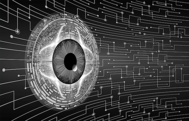 eye on pinpoint security eye on pinpoint security