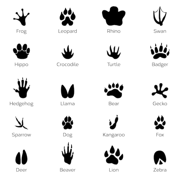 Black footprints shapes of animals. elephant, leopard, reptile and ...