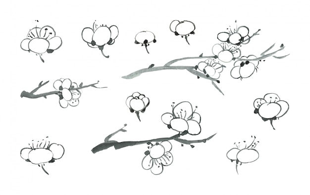 春に枝に成長している黒インクの桜の花 日本の桜の花びら プレミアムベクター