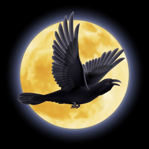 raven illustration download