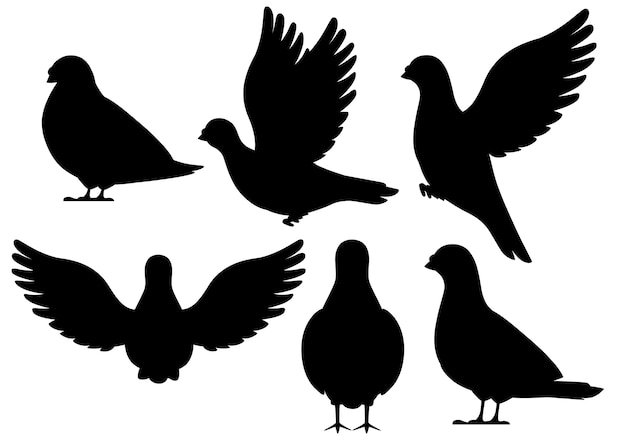 黒いシルエット 鳩鳥が飛んで座っているのアイコンを設定します キャラクター 黒い鳥のアイコン かわいい鳩テンプレート 白い背景のイラスト プレミアムベクター