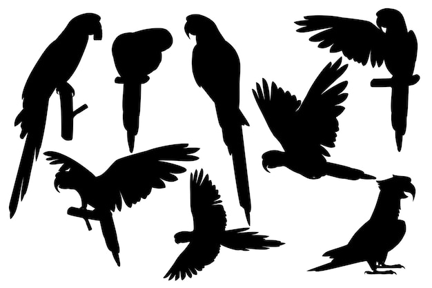 Premium Vector | Black silhouette set of adult parrot of red-and-green ...