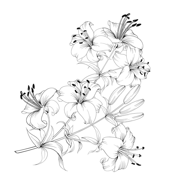 Free Vector | Black and white bouquet lilys composition.