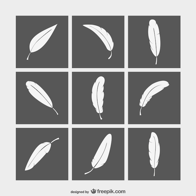 Black and white feathers collection | Free Vector