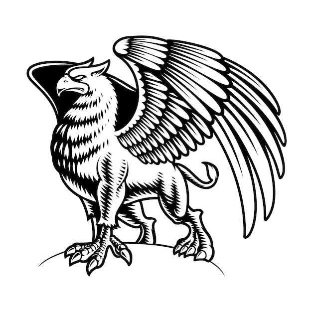 Premium Vector | Black and white griffin isolated on white