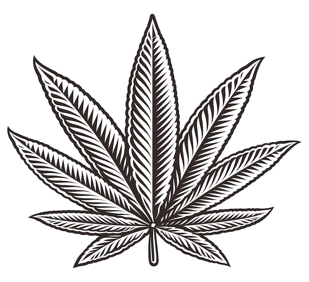 Premium Vector | Black and white illustration of a cannabis leaf, on ...