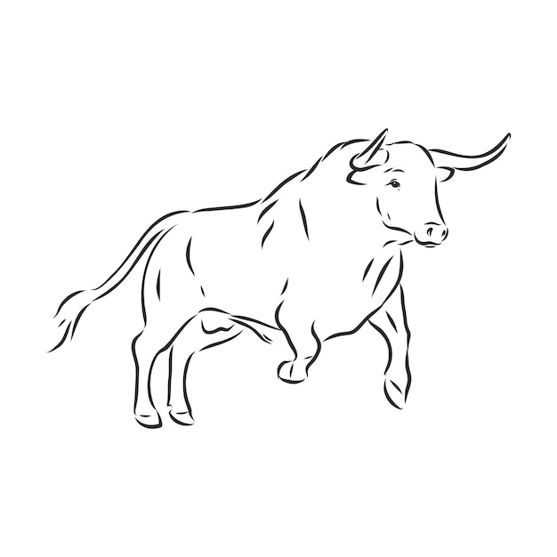 Premium Vector Black And White Linear Paint Draw Bull Vector