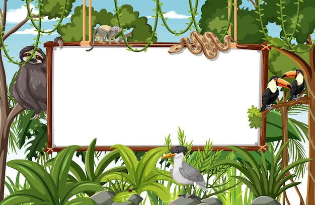 Premium Vector | Blank banner in the rainforest scene with wild animals