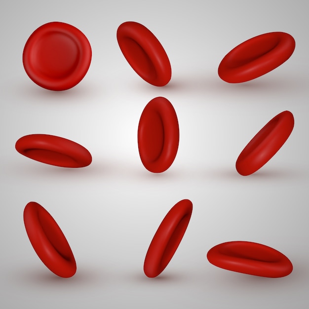 Premium Vector Blood Cells Vector Set