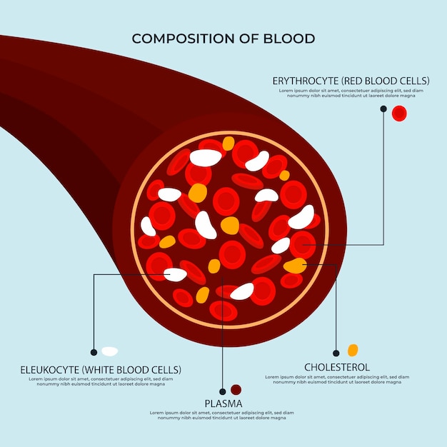 Premium Vector | Blood infographic in flat design