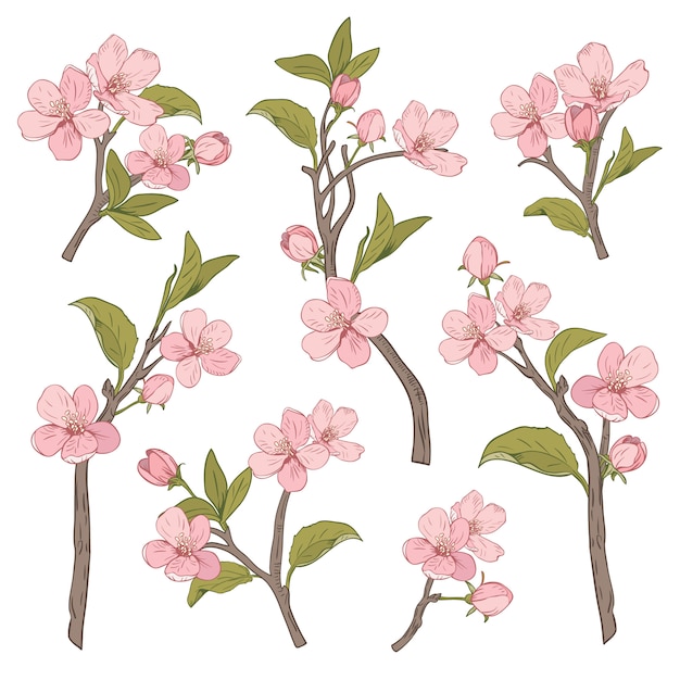 Blooming tree. Vector | Premium Download