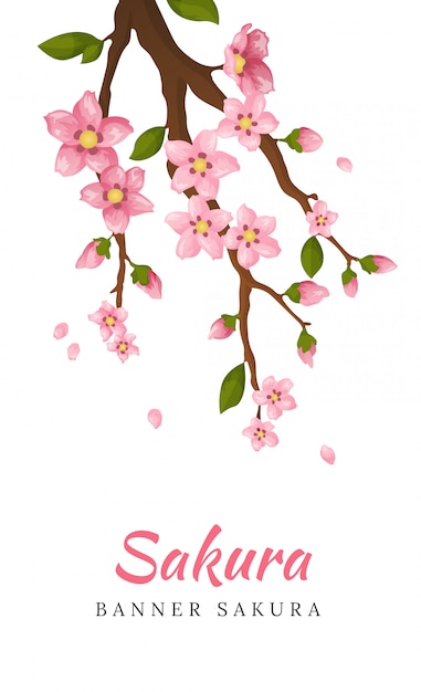 桜の花 咲く花イラスト プレミアムベクター