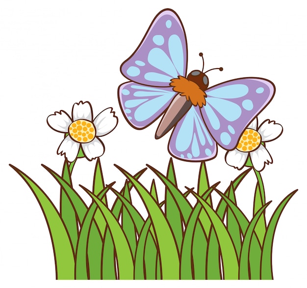 Download Blue butterfly Vector | Free Download