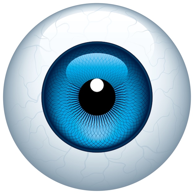 Premium Vector Blue eyeball isolated on white