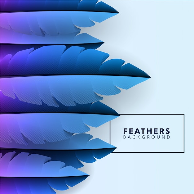 Free Vector | Blue feathers background