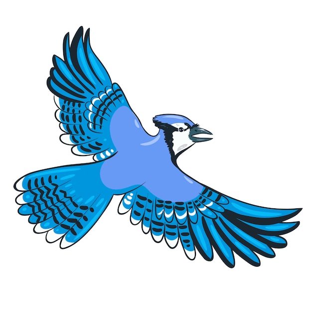 Premium Vector Blue Jay Flies Isolate On A White Background