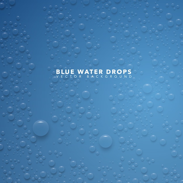 Blue Water Drops Premium Vector