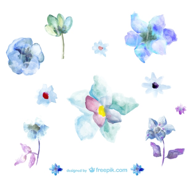 Free Vector Blue Watercolor Flowers Illustrations