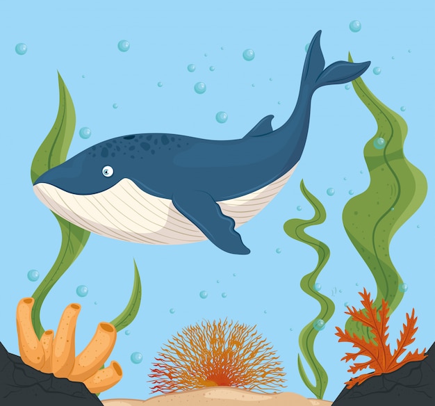 シロナガスクジラと海の生き物 シーワールドの住人 かわいい水中の生き物 海の動物 プレミアムベクター