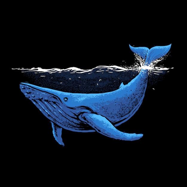 whale illustration download