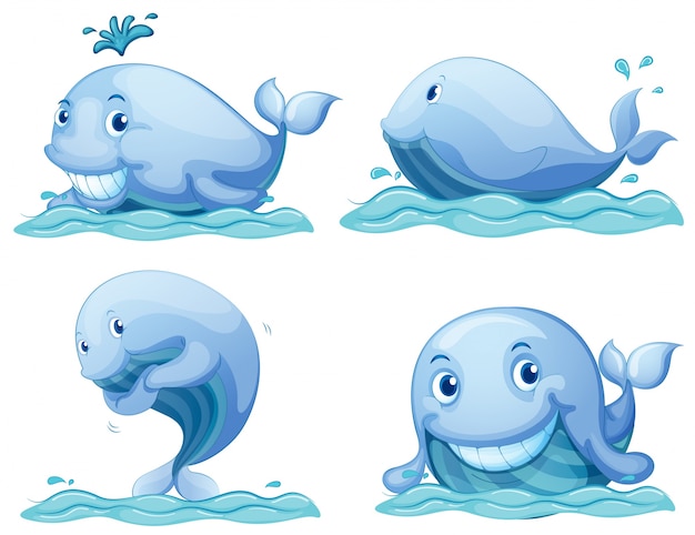 Whale Vector Vectors, Photos And PSD Files | Free Download