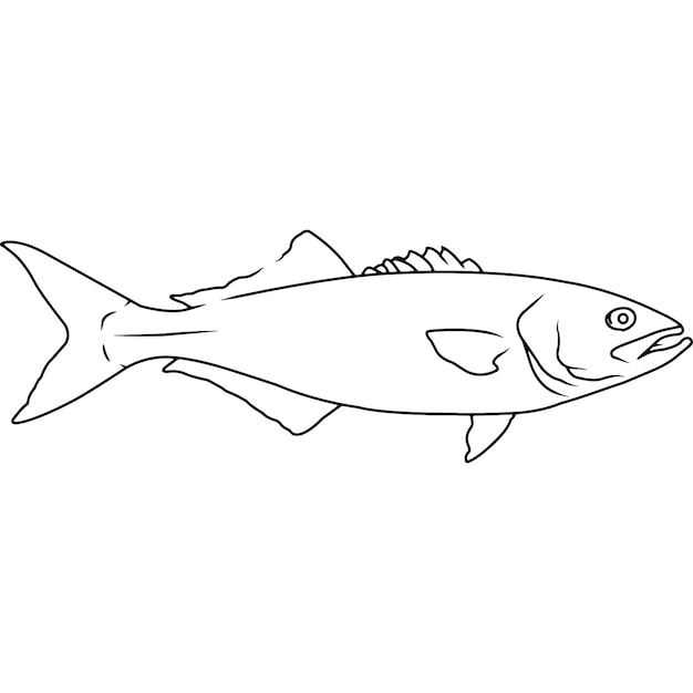 Premium Vector Bluefish Hand Sketched Hand Drawn Vector Clipart