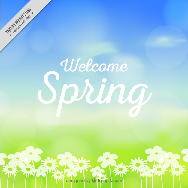 Blurred spring background with flowers