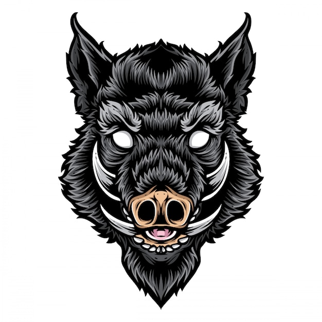 Premium Vector Boar head