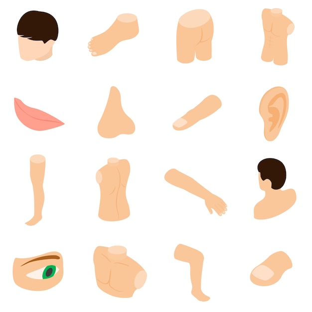 Premium Vector | Body parts icons set