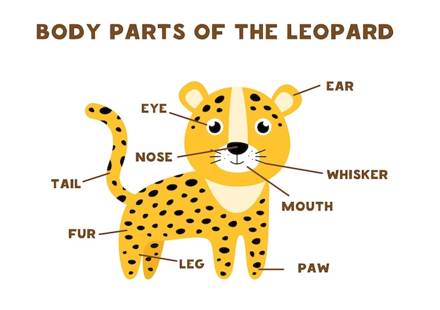 かわいいヒョウの体の部分 子供のための英語での動物の解剖学 単語を学ぶ プレミアムベクター