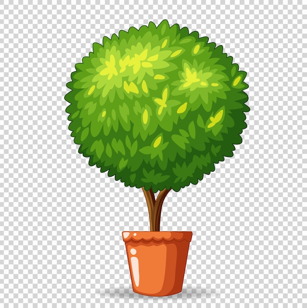  Bonsai  in clay pot  Free Vector 