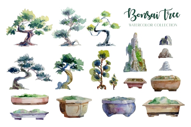 Premium Vector | Bonsai tree and pot watercolor painting isolated