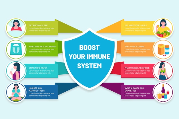 Premium Vector Boost Your Immune System Infographic 0771