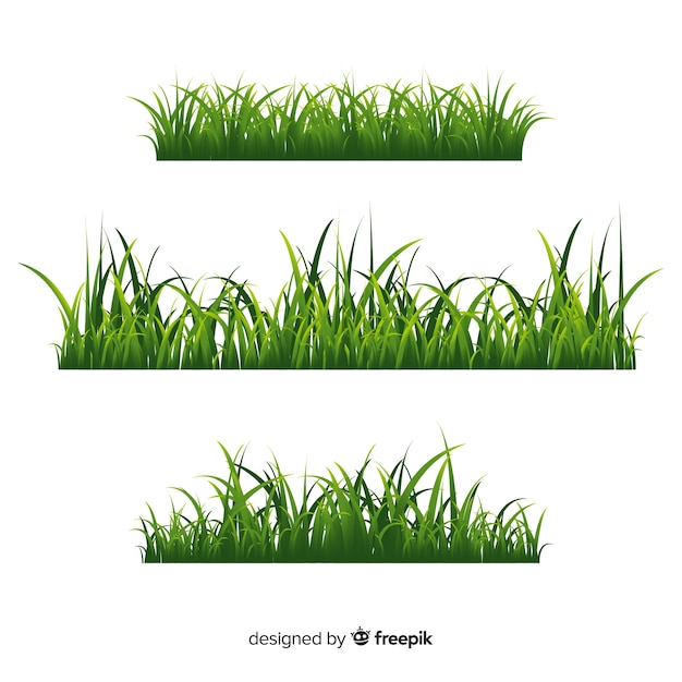 Download Border of grass realistic style Vector | Free Download