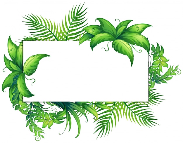 Premium Vector Border Template With Green Leaves