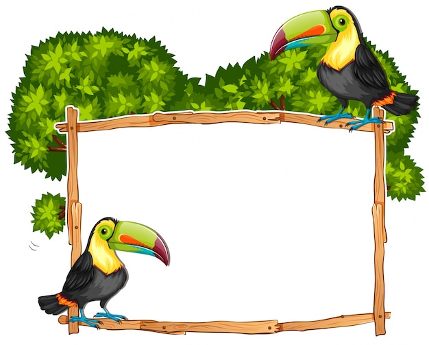 Download Border template with two toucan birds Vector | Free Download
