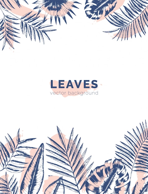 Download Borders made of jungle palm tree branches and leaves drawn ...
