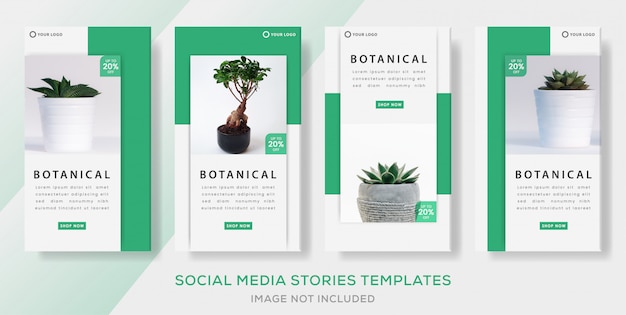  Botanical banner template with green color for media social stories template. premium