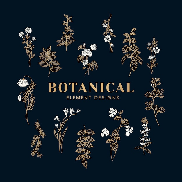 Download Botanical floral mockup illustration Vector | Free Download