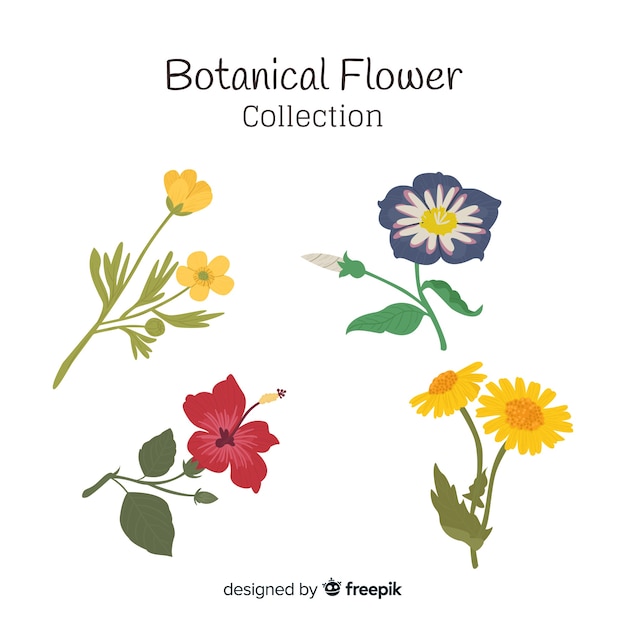 free vector botanical illustration download