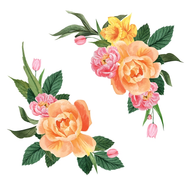 Download Botanical flower watercolor bouquet elegance blooming Vector | Free Download