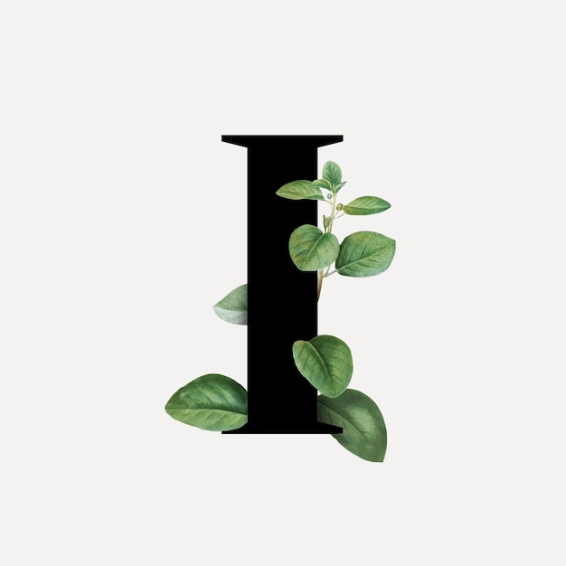 Botanical font letter i Vector Free Download